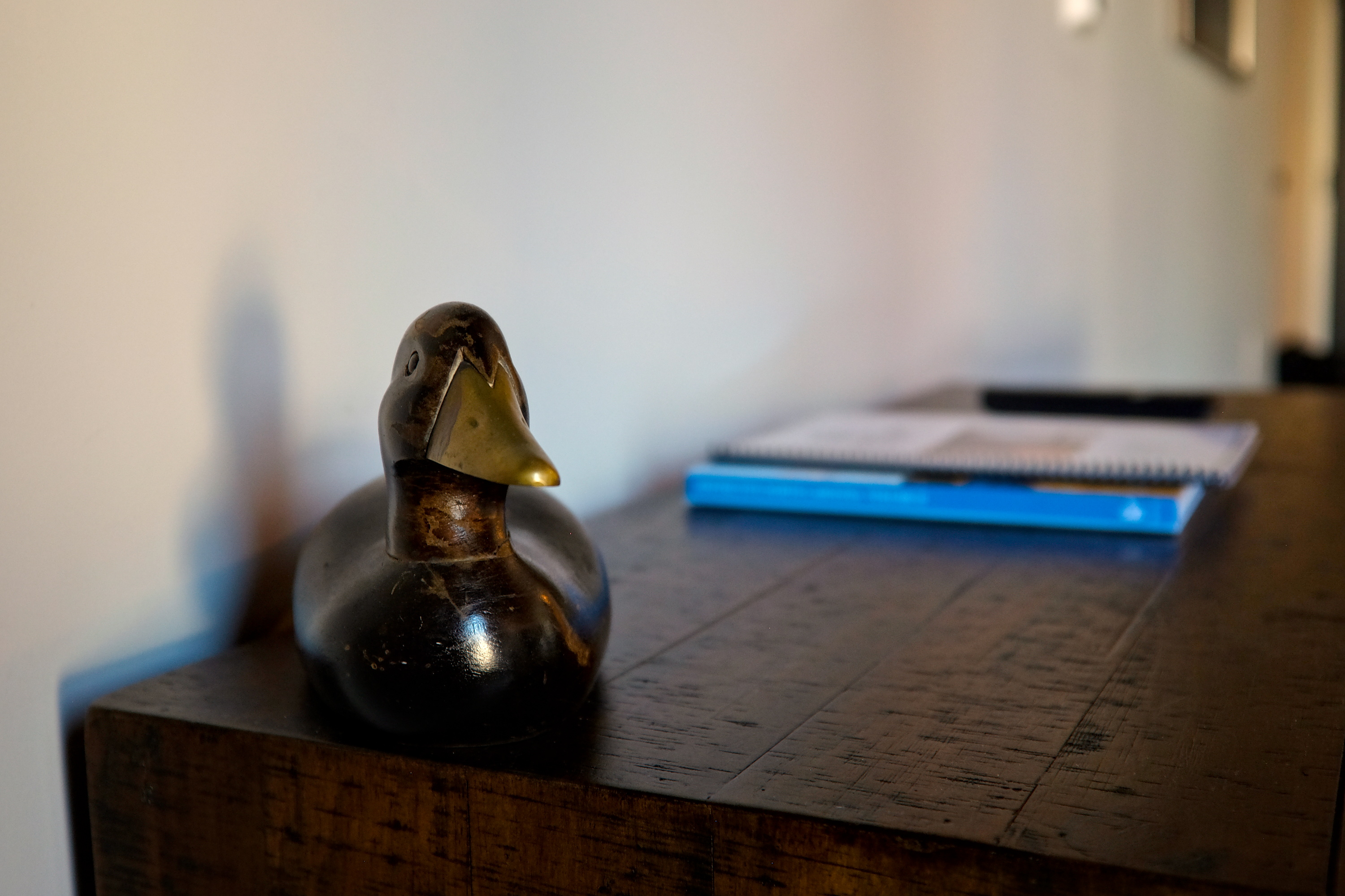A wooden duck on a shelf