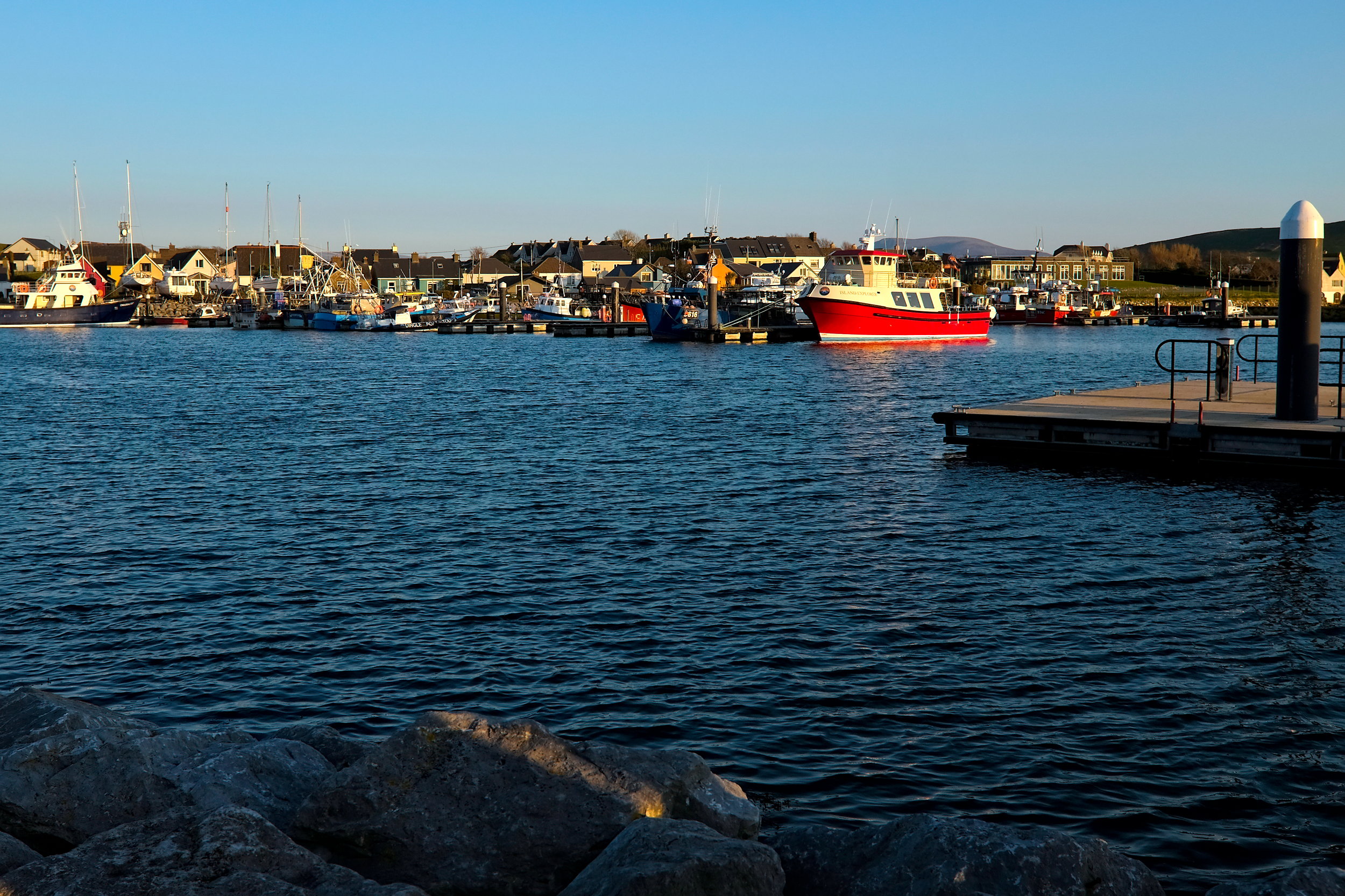 Peaceful view of Dingle Harbor with boats docked along the calm water, colorful buildings lining the waterfront, and green hills rising in the background under a soft sky.