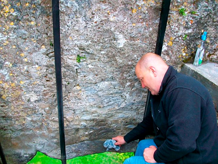 A stuffed manatee kisses the Blarney Stone at Blarney Castle