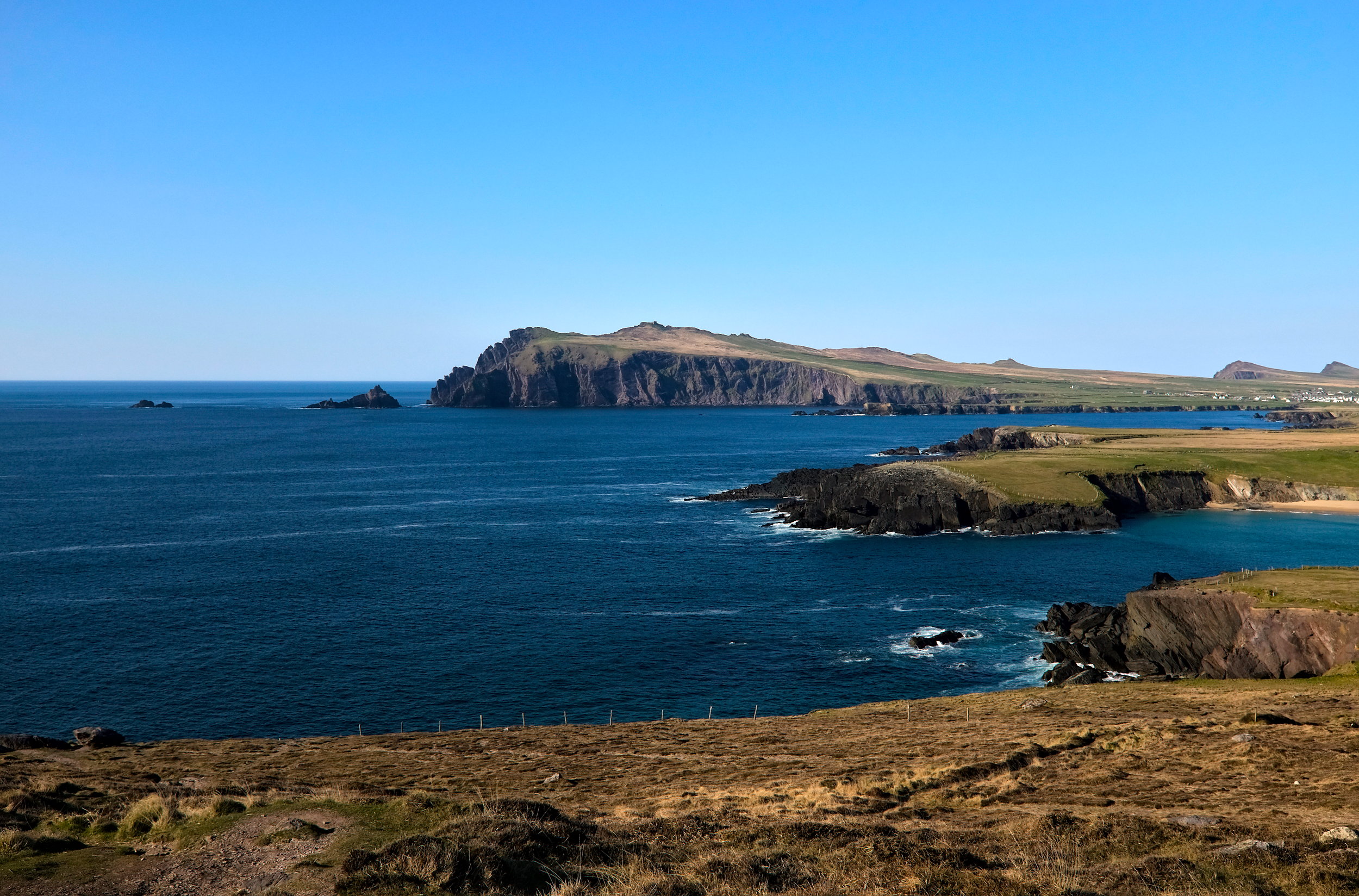 Sweeping view from Waymont Lookout with dramatic cliffs and rolling farmland cascading toward the sea, offering a postcard-perfect slice of the Dingle Peninsula.