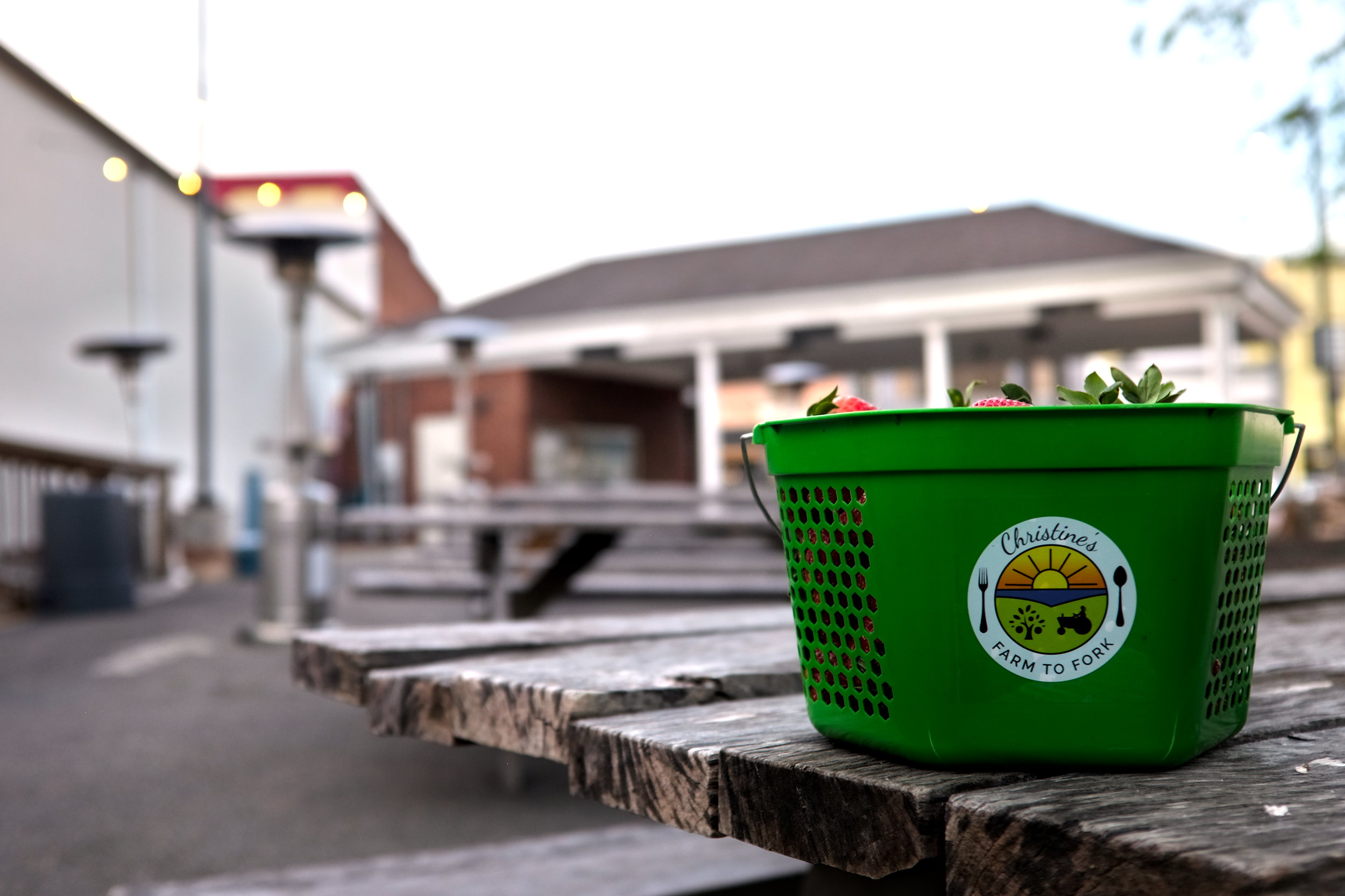A bucket of strawberries on the patio at Christine's Farm to Fork