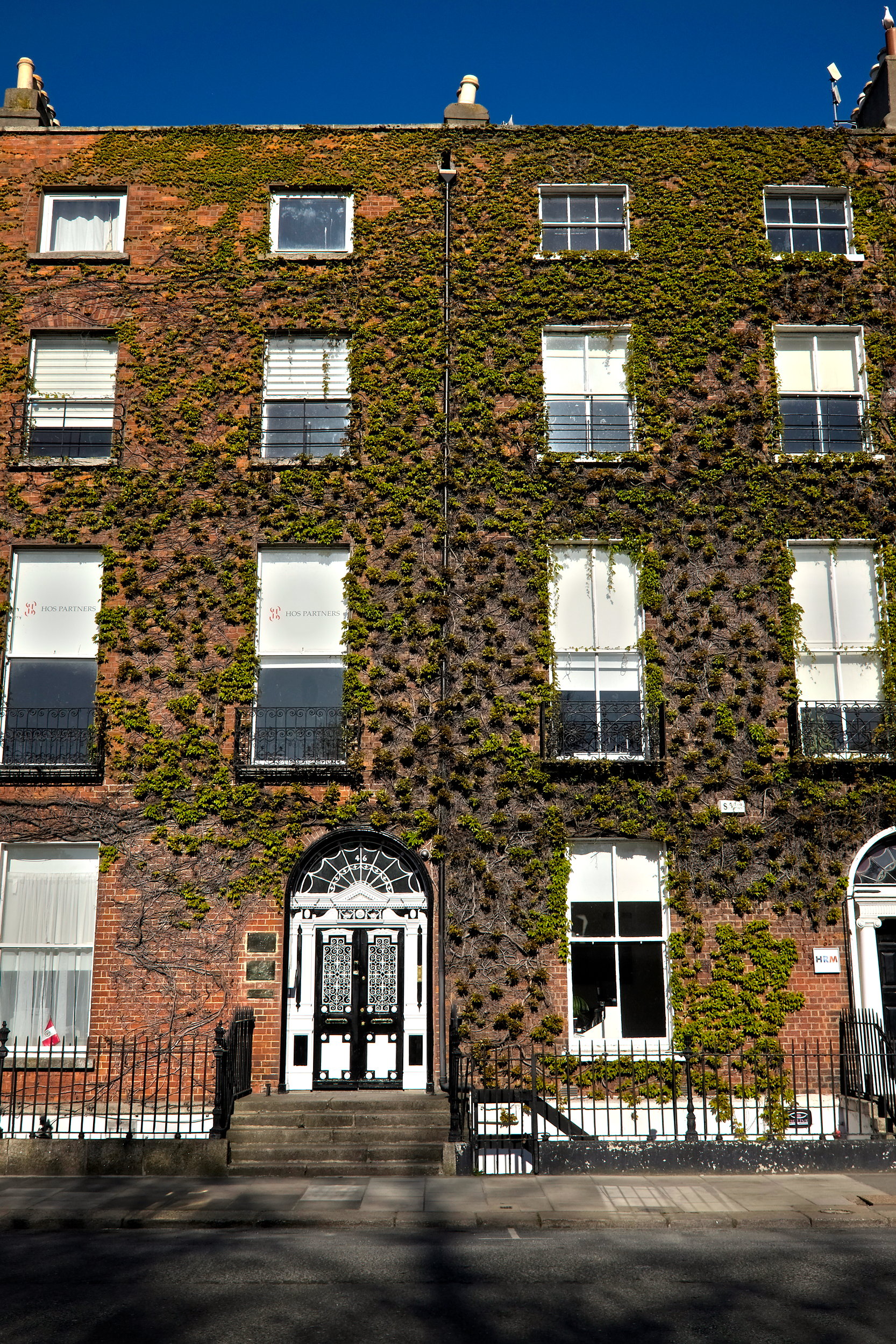 A vine-covered building in Dublin
