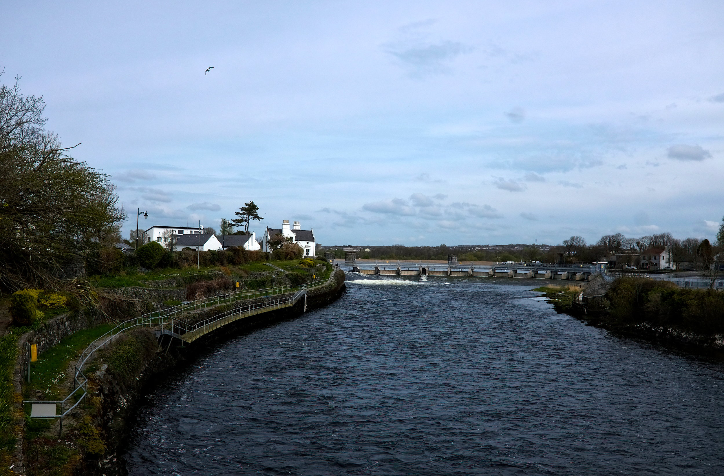 View of the River Corrib in Galway, with a walking path and several houses along its sides