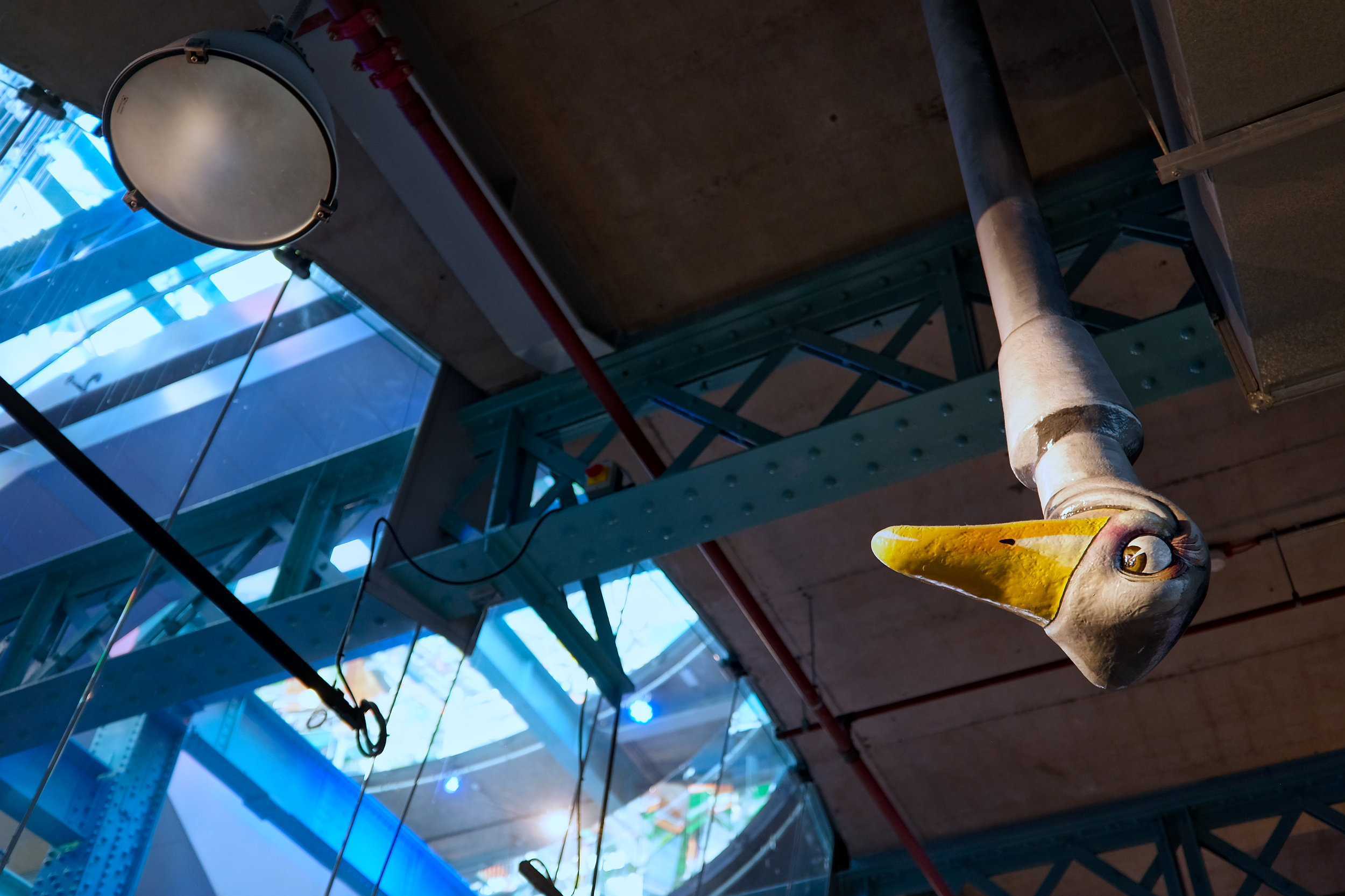 The Guinness ostrich pokes its head through the ceiling of the Guinness Storehouse