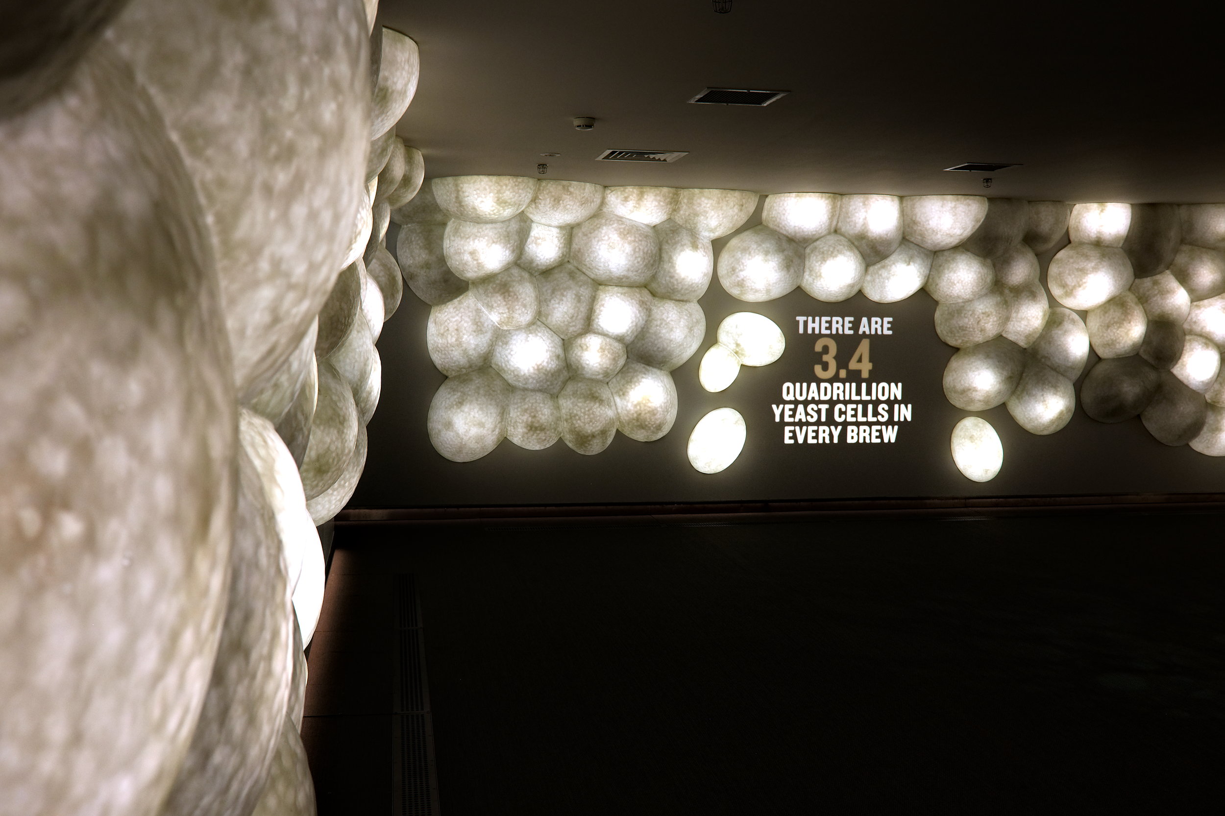Bubbles on the wall to represent yeast at the Guinness Storehouse