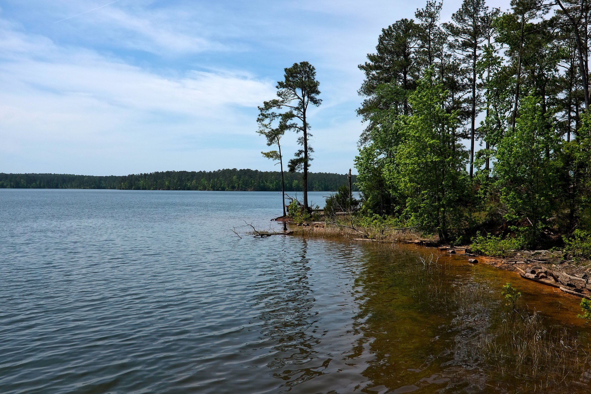 The waterfront at Hickory Knob State Resort Park