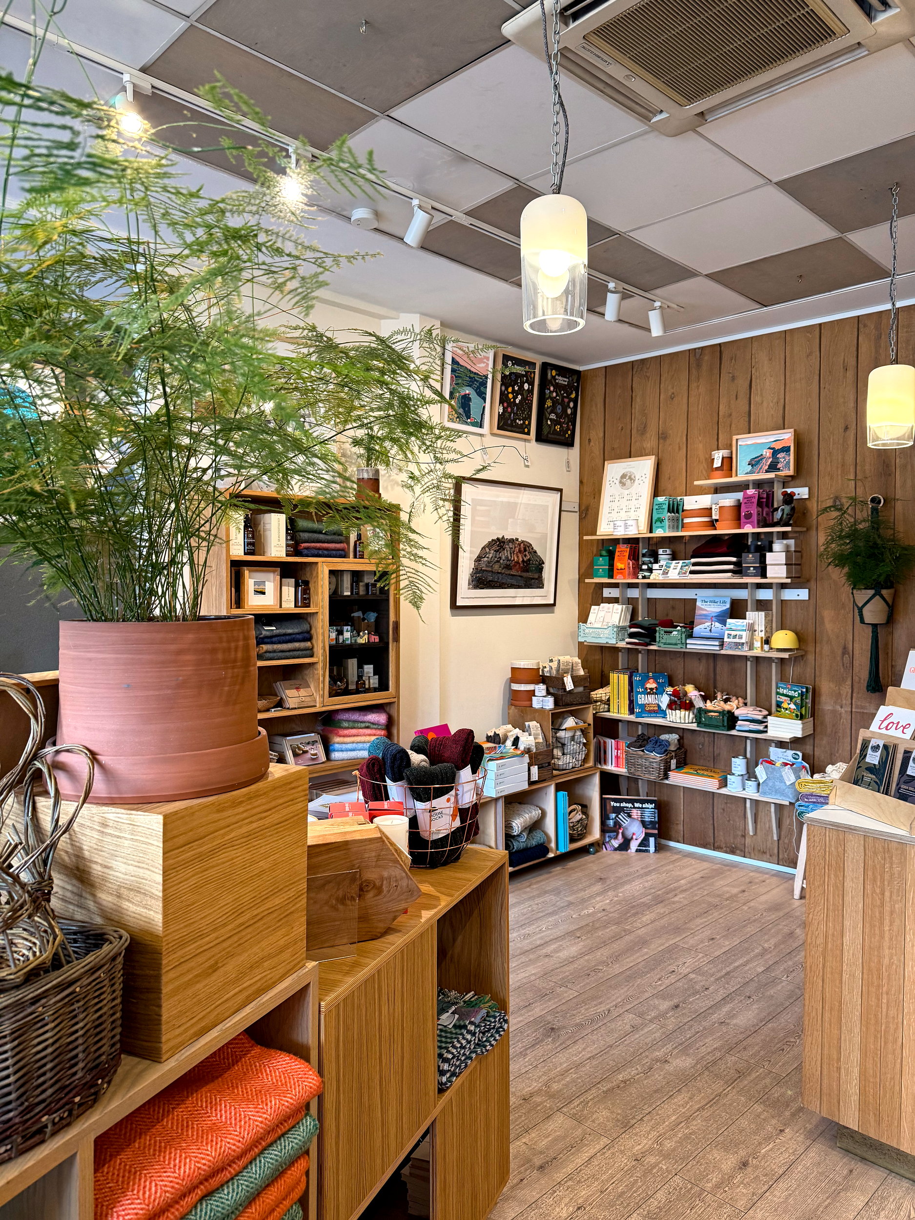 Interior of Irish Design Shop, with plants, gifts, and art